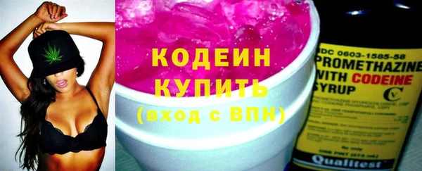 шишки Мегион