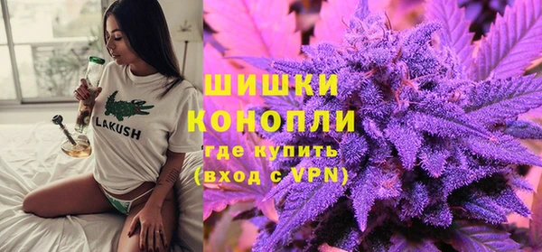 шишки Мегион
