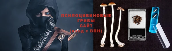 не бодяженный Медвежьегорск