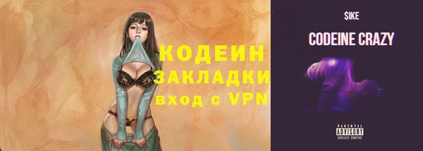 шишки Мегион