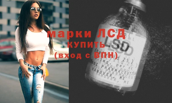 гашик Всеволожск