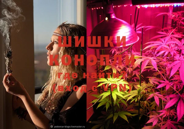 шишки Мегион