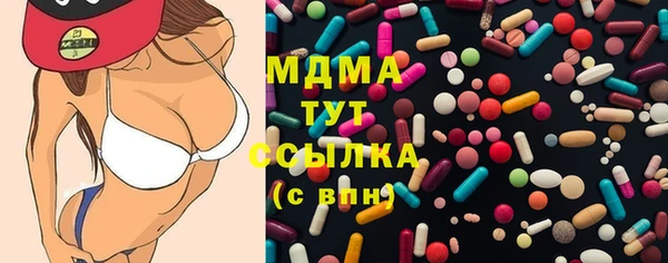 прущие грибы Магадан