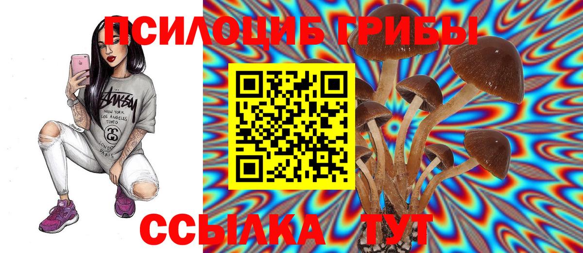 Лыткарино  цена   Вход с VPN  Галлюциногенные грибы ЛСД  Галлюциногенные грибы GOLDEN TEACHER 
